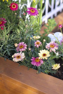 写真 2026-03-05 16 23 09_R_1