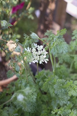 写真 2026-03-26 16 48 58_R_1