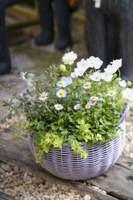 写真 2026-03-20 16 27 47_R_1