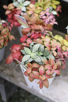 写真 2026-03-25 15 53 41_R_1