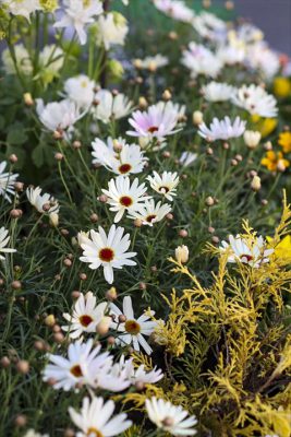 写真 2026-03-19 18 13 15_R_1