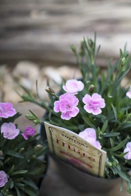 写真 2026-03-26 16 25 27_R_1