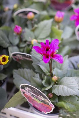 写真 2026-03-26 16 36 19_R_1