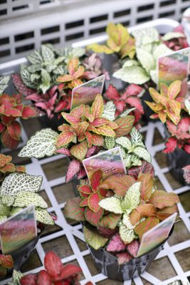 写真 2026-03-25 15 53 27_R_1