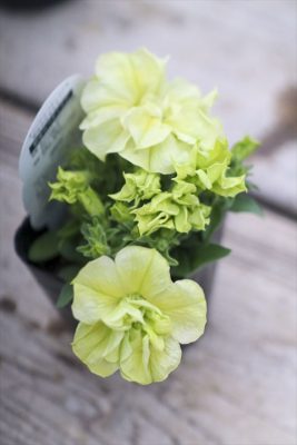 写真 2026-03-25 15 43 00_R_1