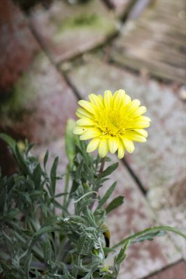 写真 2026-03-27 16 33 11_R_1