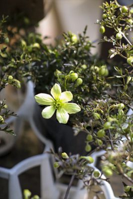 写真 2026-03-12 16 11 33_R_1