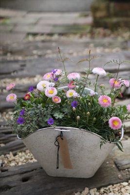 写真 2026-03-04 16 48 51_R_1