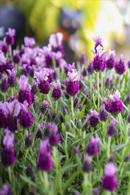 写真 2026-03-01 16 00 10_R_1