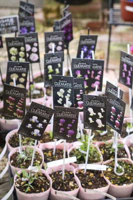 写真 2026-03-06 16 42 54_R_1