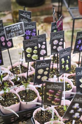 写真 2026-03-06 16 43 06_R_1