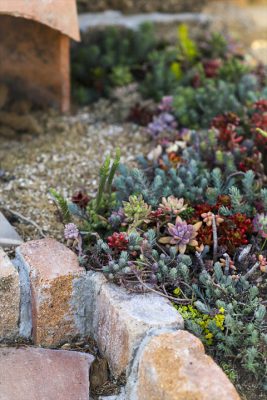 写真 2026-03-17 16 48 57_R_1