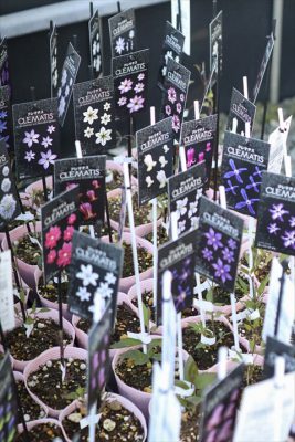 写真 2026-03-14 17 02 20_R_1