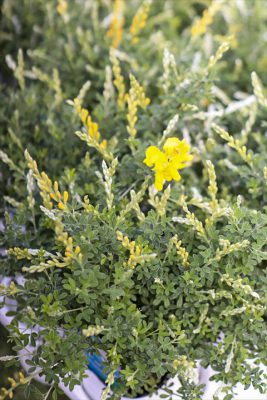 写真 2026-03-12 16 10 29_R_1