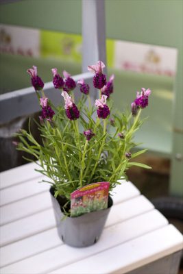 写真 2026-03-01 15 59 41_R_1