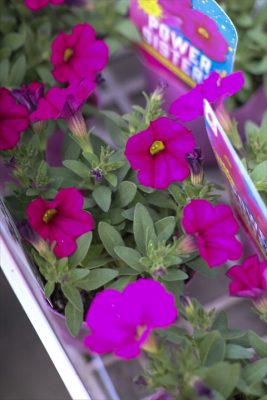 写真 2026-03-26 16 29 37_R_1