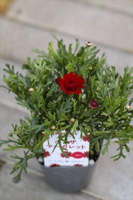 写真 2026-03-19 18 10 42_R_1