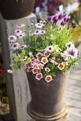 写真 2026-03-27 16 28 50_R_1