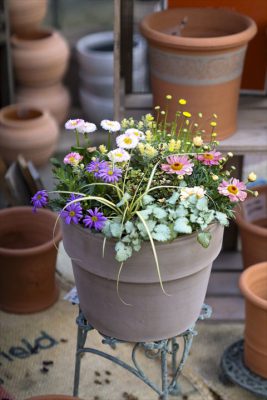 写真 2026-03-09 16 36 22_R_1