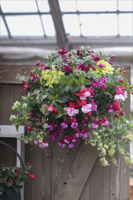 写真 2026-03-25 15 46 56_R_1