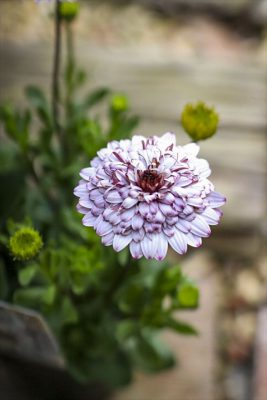 写真 2026-03-08 15 46 50_R_1