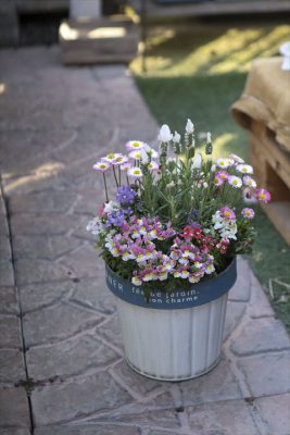 写真 2026-03-14 16 45 01_R_1