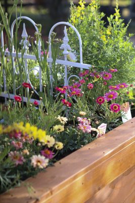 写真 2026-03-05 16 23 00_R_1