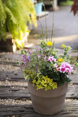 写真 2026-03-17 16 43 39_R_1