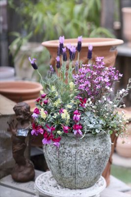 写真 2026-03-25 15 49 54_R_1