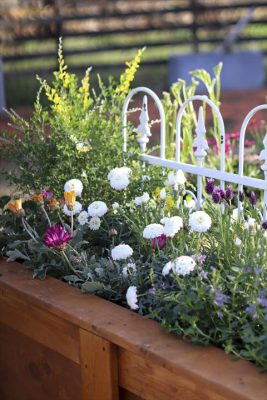 写真 2026-03-05 16 22 52_R_1