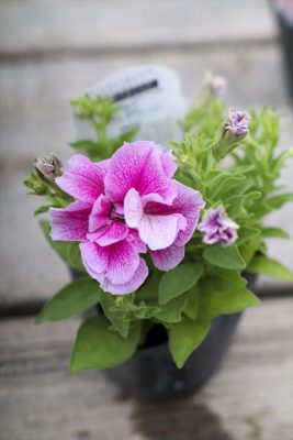 写真 2026-03-25 15 43 22_R_1