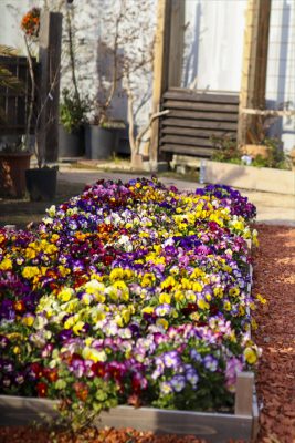 写真 2026-03-20 16 49 52_R_1