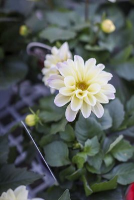 写真 2026-03-26 16 36 27_R_1