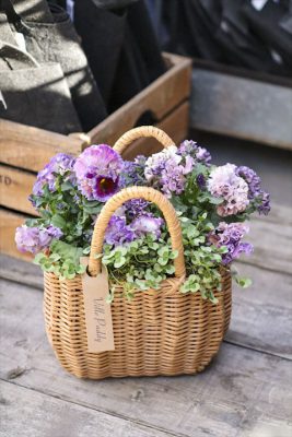 写真 2026-03-20 16 15 15_R_1