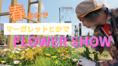 FLOWER SHOW
