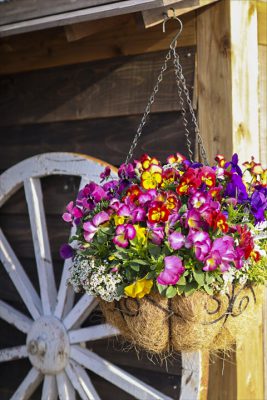 写真 2026-03-20 16 48 16_R_1