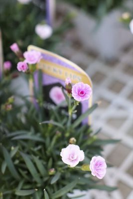 写真 2026-03-23 17 41 49_R_1