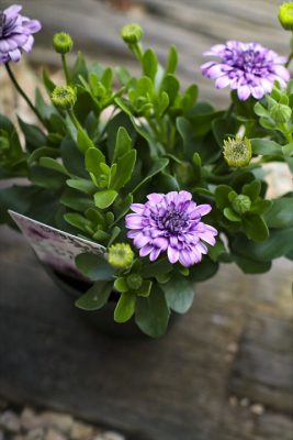 写真 2026-03-08 15 46 33_R_1