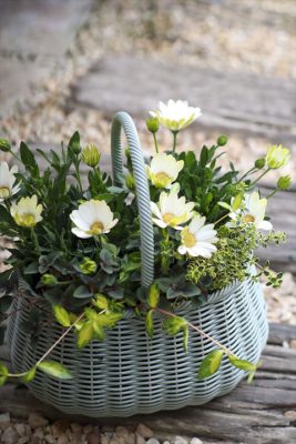 写真 2026-03-26 16 27 30_R_1