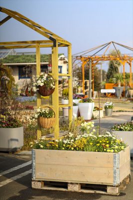 写真 2026-03-19 16 51 36_R_1