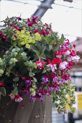 写真 2026-03-25 15 47 06_R_1