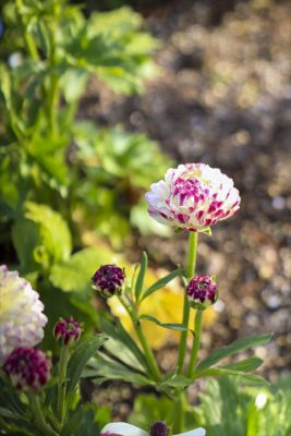 写真 2026-03-20 16 51 33_R_1