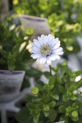 写真 2026-03-04 16 45 42_R_1