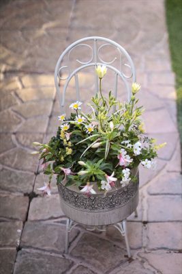 写真 2026-02-28 16 40 44_R_1