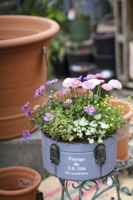 写真 2026-03-03 16 07 21_R_1