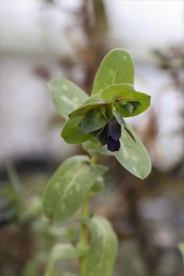 写真 2026-03-30 17 29 02_R_1