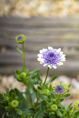 写真 2026-03-08 15 49 45_R_1