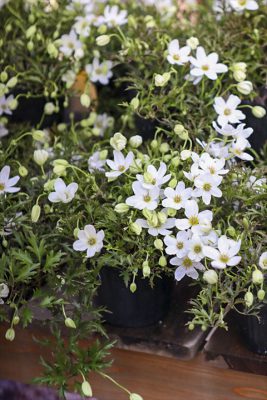 写真 2026-03-19 16 47 41_R_1