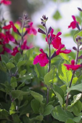 写真 2026-03-26 16 37 54_R_1