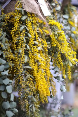 写真 2026-03-06 16 48 09_R_1